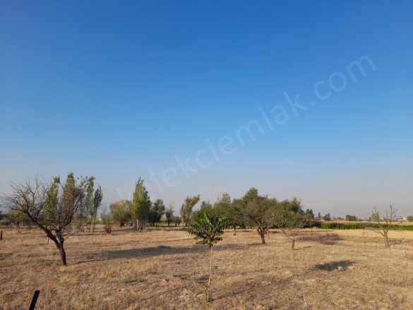 Çevre Yolunda Büyük Ticari Satılık Arsa Bolvadin