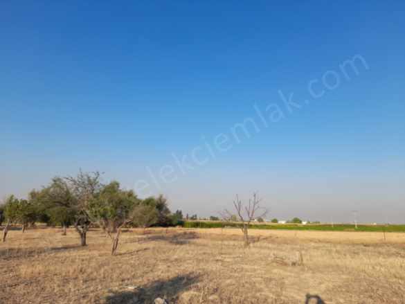 Çevre Yolunda Büyük Ticari Satılık Arsa Bolvadin