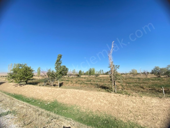 Merkez Bolvadin Satılık Tarla |  5700M2 2.500.000Tl Resim-3