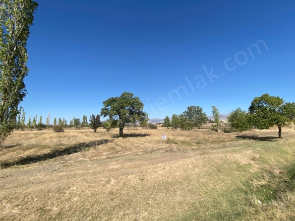 Merkez Bolvadin Satılık Tarla |  4800M2 3.250.000Tl Resim-2