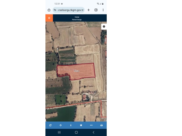 Merkez Bolvadin Satılık Tarla |  19000M2 7.850.000Tl Resim-1