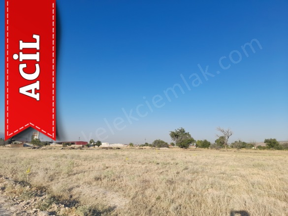 Merkez Bolvadin Acil Satılık Tarla |  6500M2 7.000.000Tl Resim-2