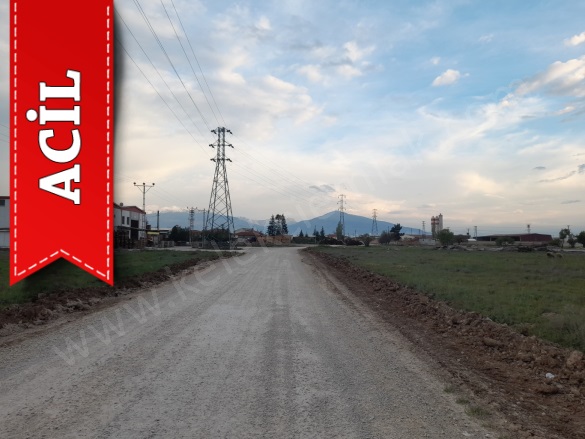 Merkez Bolvadin Acil Satılık Tarla |  6500M2 7.000.000Tl Resim-3