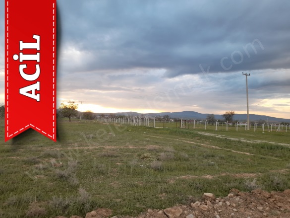 Merkez Bolvadin Acil Satılık Tarla |  6500M2 7.000.000Tl Resim-5