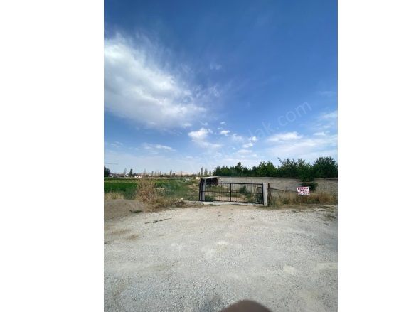 Merkez Bolvadin Satılık Tarla |  2000M2 1Tl Resim-1