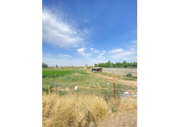 Merkez Bolvadin Satılık Tarla |  2000M2 1Tl Resim-3