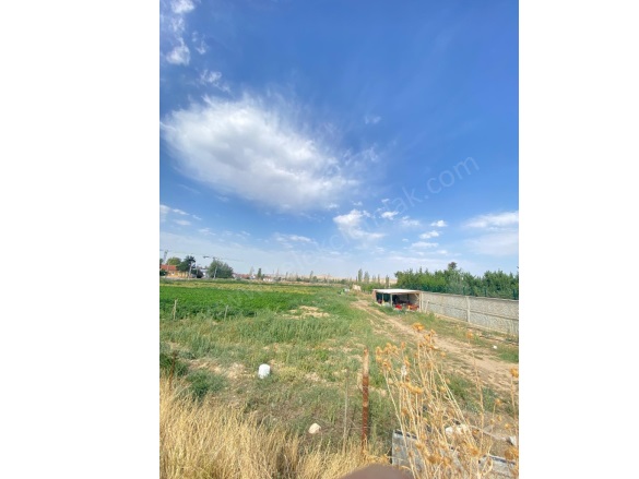 Merkez Bolvadin Satılık Tarla |  2000M2 1Tl Resim-5