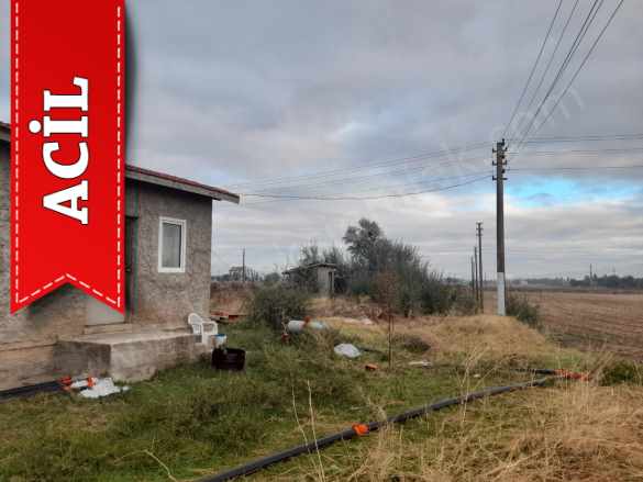 Kırkgöz Mahallesinde Yola Cepheli Satılık Tarla Bolvadin