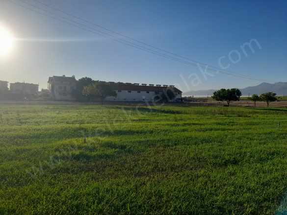 Selçukluda Ticari Satılık Arsa Afyon Bolvadin