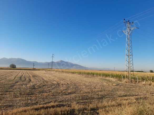 Çobanlar Yoluna Cepheli Satılık Tarla Afyon Bolvadin