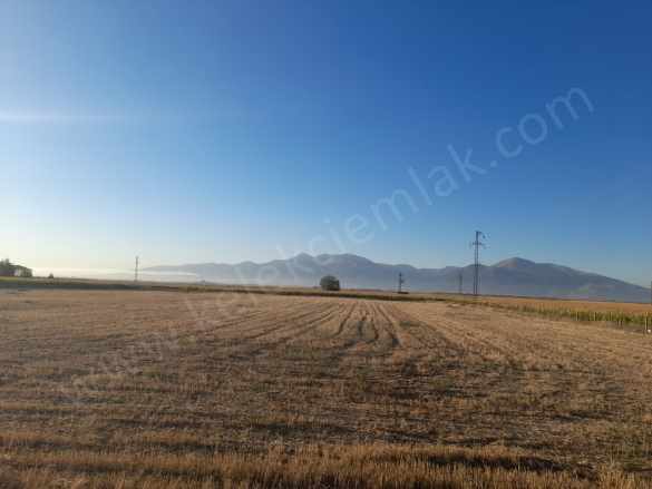 Çobanlar Yoluna Cepheli Satılık Tarla Afyon Bolvadin