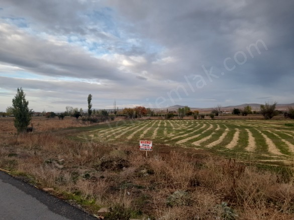 Merkez Bolvadin Satılık Tarla |  5120M2 11.500.000Tl Resim-1