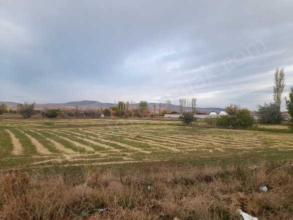 Merkez Bolvadin Satılık Tarla |  5120M2 11.500.000Tl Resim-4
