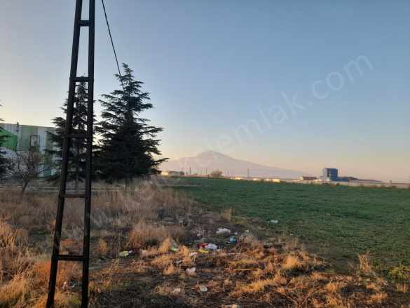 Selçukluda Ticari Satılık Arsa Afyon Bolvadin