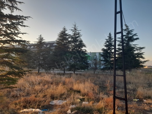 Merkez Bolvadin Satılık Arsa |  8660M2 15.500.000Tl İmarlı  Resim-4