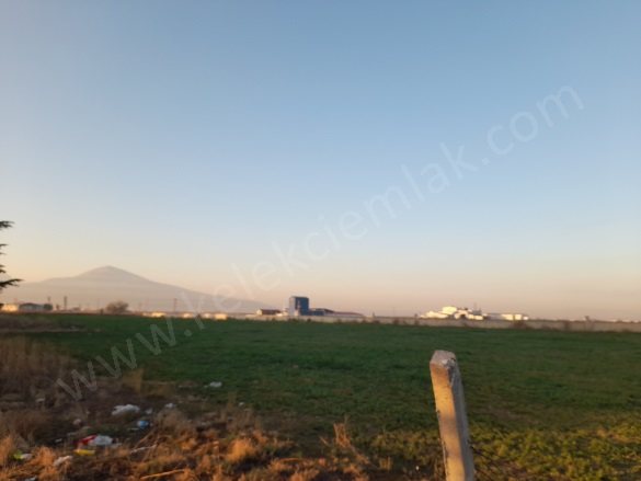 Merkez Bolvadin Satılık Arsa |  8660M2 15.500.000Tl İmarlı  Resim-5