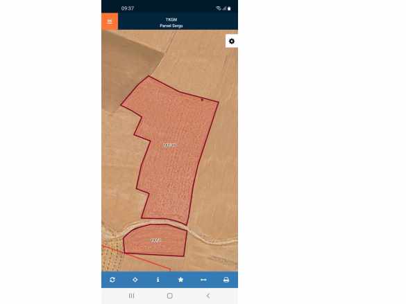 Taşağıl Köyünde Satılık Tarla Afyon Bolvadin
