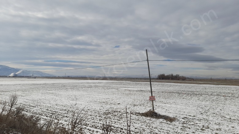 Merkez Bolvadin Satılık Tarla |  20800M2 6.500.000Tl Resim-5