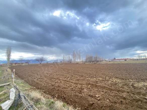 Merkez Bolvadin Satılık Tarla |  2668M2 1.050.000Tl Resim-2