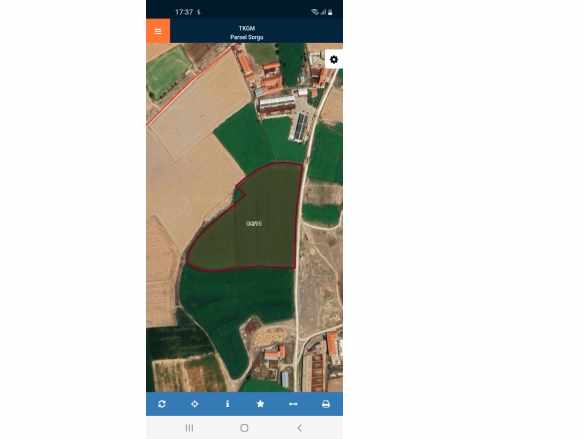 Selçuklu(Kalıntoprak)Mahallesinde Yola Cepheli Satılık Tarla Bolvadin