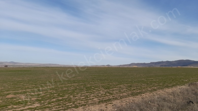 Merkez Bolvadin Satılık Tarla |  11672M2 1.450.000Tl Resim-4