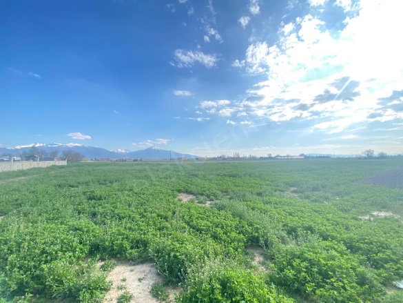 Merkez Bolvadin Satılık Arsa |  6700M2 10.800.000Tl İmarlı  Resim-2