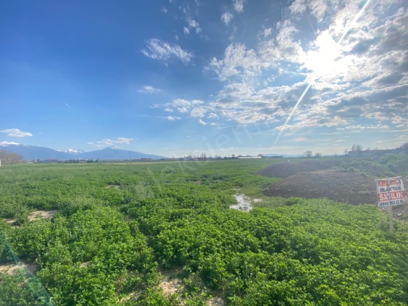 Merkez Bolvadin Satılık Arsa |  6700M2 10.800.000Tl İmarlı  Resim-4