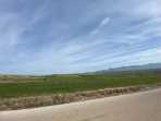 DİŞLİ ÇAYBAŞI MAHALLESİNDE TARLA