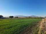 Selçukluda Ticari Satılık Arsa Afyon Bolvadin 4148 M2