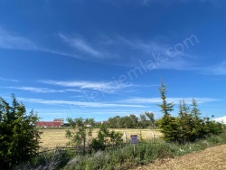 Bolvadin Merkez Satılık Arsa 2053 M2