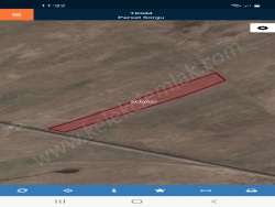 Çay Merkez Satılık Tarla 9800 M2