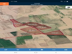 Bolvadin Merkez Satılık Tarla 95580 M2