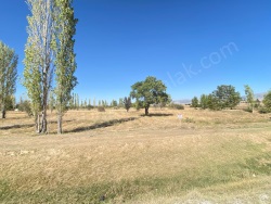 Bolvadin Merkez Satılık Tarla 4800 M2