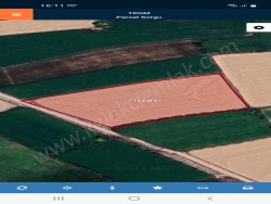 Bolvadin Merkez Satılık Tarla 9982 M2