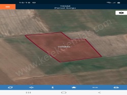 Bolvadin Merkez Satılık Tarla 8000 M2