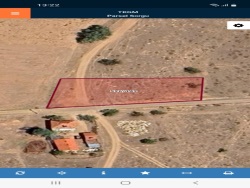 Bolvadin Dişli Satılık Tarla 1661 M2