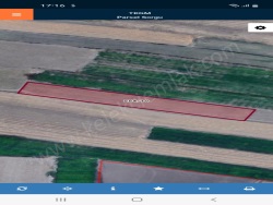 Bolvadin Merkez Satılık Tarla 16750 M2