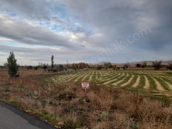 Bolvadin Merkez Satılık Tarla 5120 M2