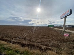 Bolvadin Merkez Satılık Tarla 6600 M2