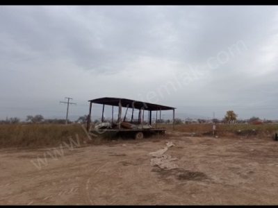 Görelekte Çevre Yoluna Yakın Satılık Tarla Bolvadin