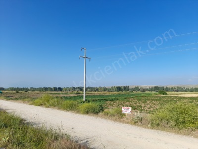 Dişli Mavlana Mahallesinde Eskişehir Konya Yoluna Cepheli Satılık Tarla Bolvadin