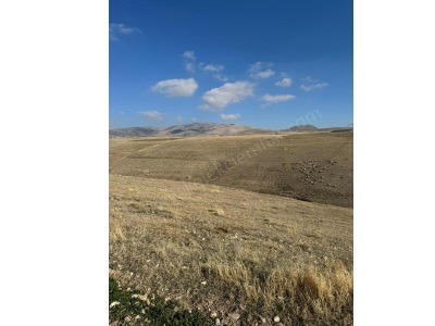 Karayokuş Ta Satılık Tarla Afyon Bolvadin