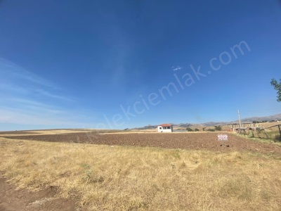 Dişli Malazgirt Mahallesinde Büyük Satılık Arsa Bolvadin