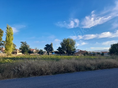 Akcandan Ağılönüne Giden Yolda Batı Cepheli Satılık Arsa Bolvadin