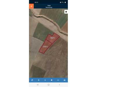 Dişli Mevlicek(Yukarı Mahalle)De 2 Adet Satılık Tarla Bolvadin