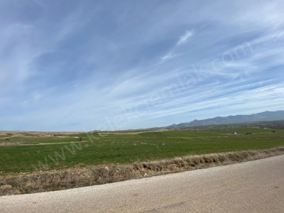 Dişli Çaybaşı Mahallesinde Satılık Tarla Bolvadin