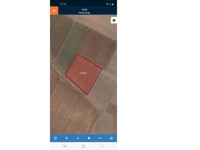 Saraykırı(Yakupşevkipaşa)Mahallesinde Satılık Tarla Bolvadin