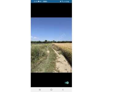 Çay Deresinekte Meyve Bahçesi Satılık Tarla Afyon