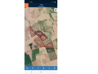 Dibevlerde Sulu Tarıma Elverişli 5 Adet Satılık Tarla Bolvadin
