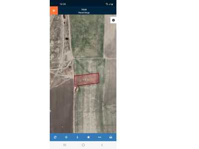 Şıhlar Mahallesinde Satılık Tarla Afyon Bolvadin